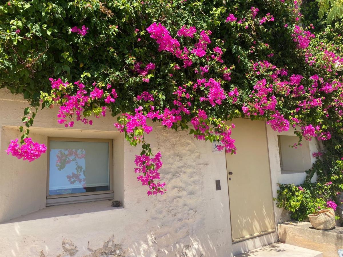Nova Casa com Piscina no Convento das Bernardas Tavira Exterior foto